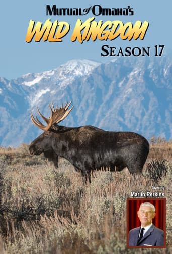 Season 17