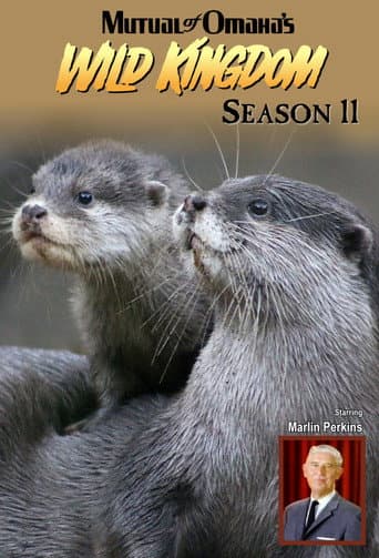 Season 11